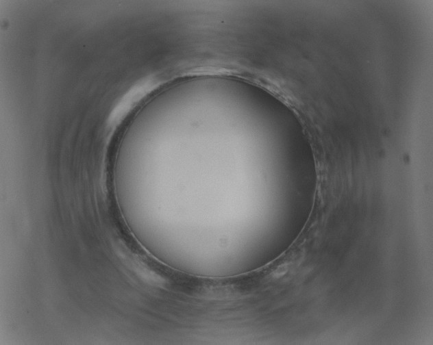 X0000077370296200611031918