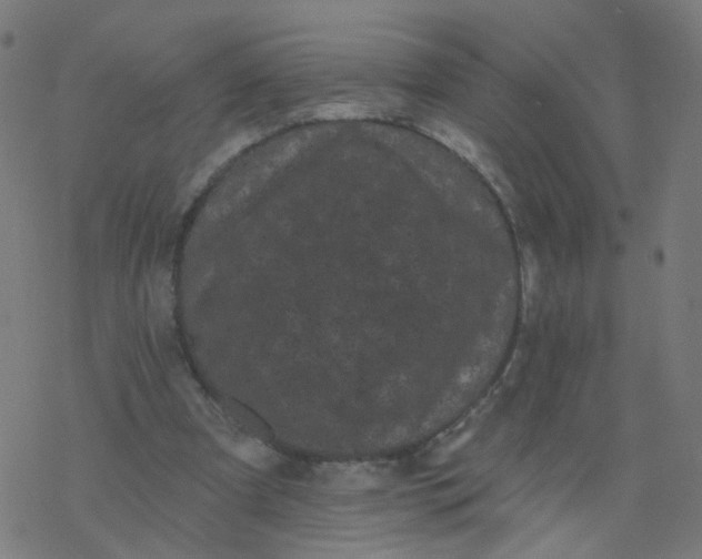 X0000077370297200611031918