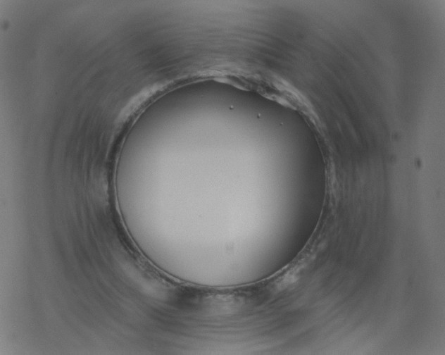 X0000077370298200611031918