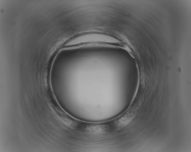 X0000077370299200611031918