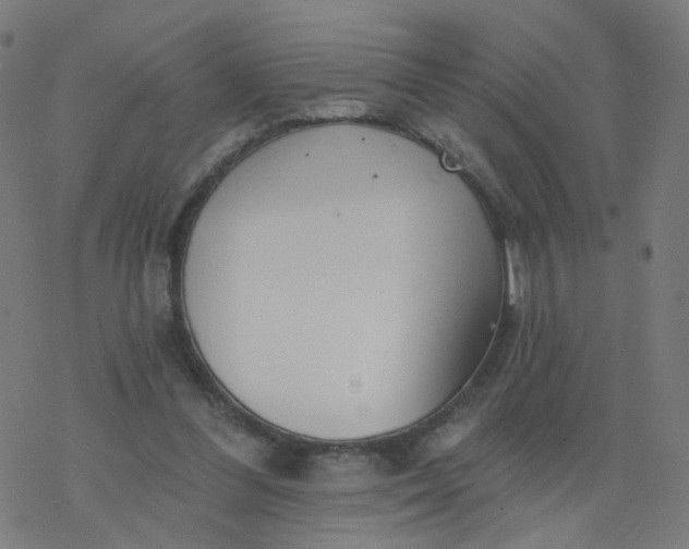 X0000077370300200611031918