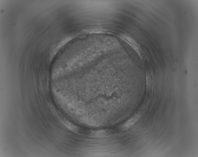 X0000077370301200611031918