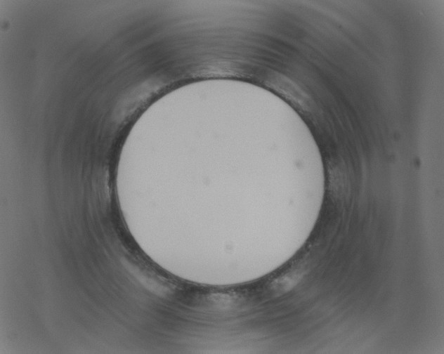 X0000077370302200611031918