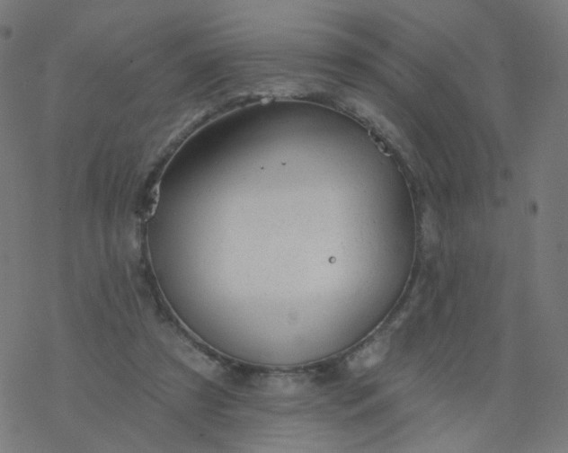 X0000077370305200611031918