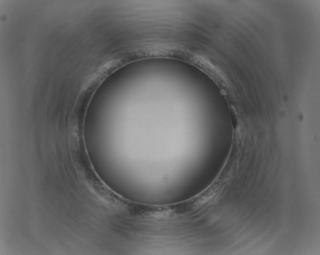 X0000077370306200611031918