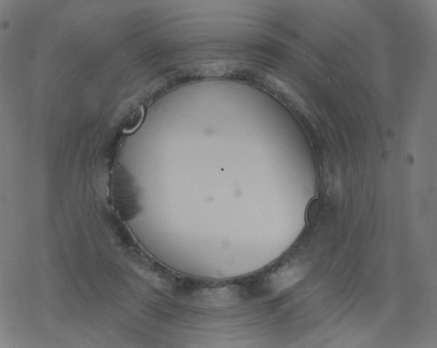 X0000077370307200611031918