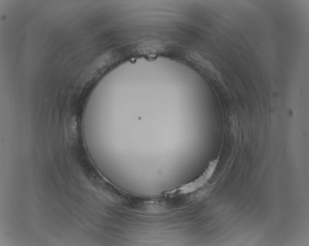 X0000077370308200611031918