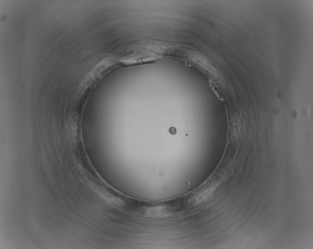 X0000077370309200611031918