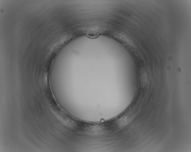 X0000077370310200611031918