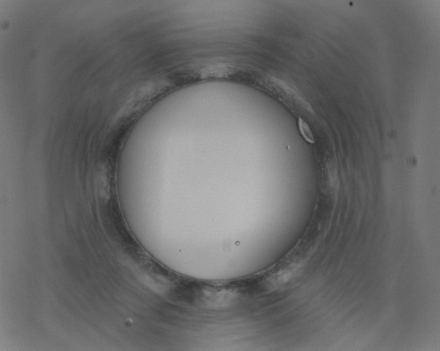 X0000077370311200611031918