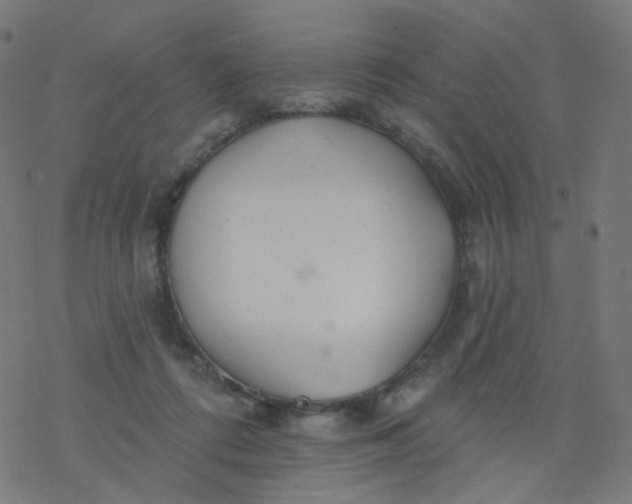 X0000077370312200611031918