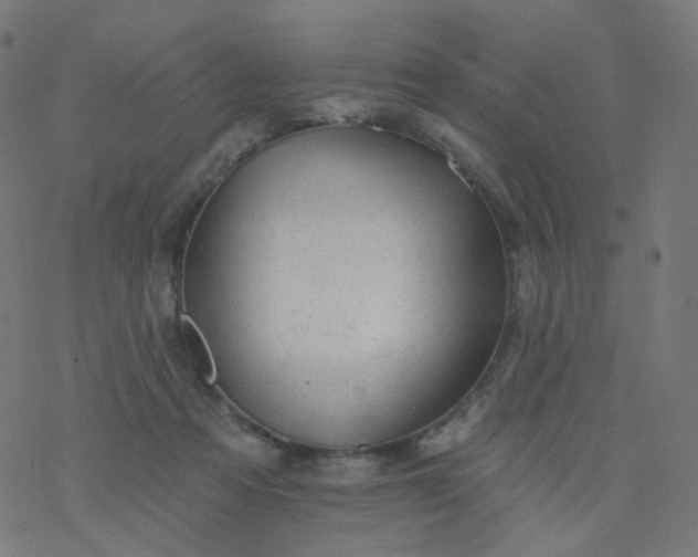 X0000077370313200611031918