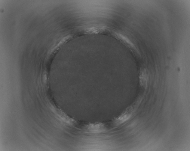 X0000077370314200611031918