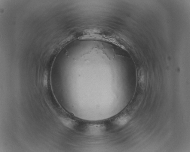 X0000077370315200611031918