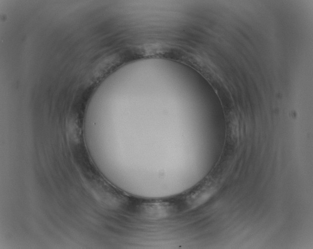 X0000077370316200611031918