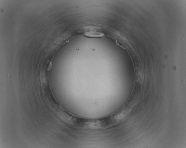 X0000077370317200611031918