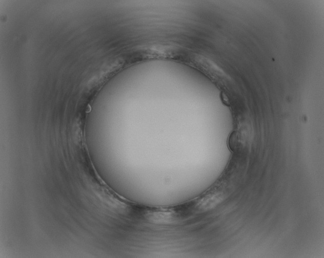 X0000077370318200611031918