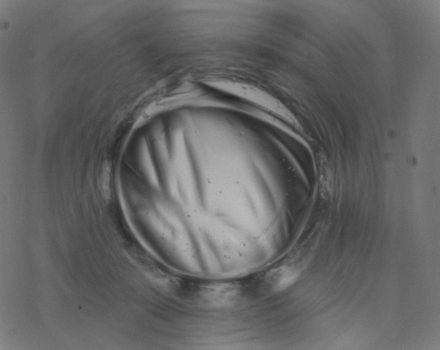 X0000077370319200611031918