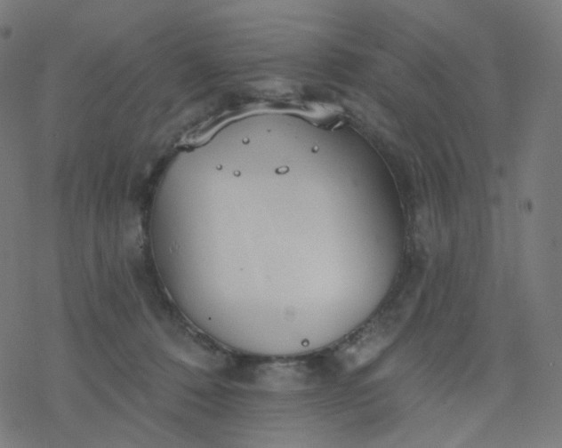 X0000077370320200611031918