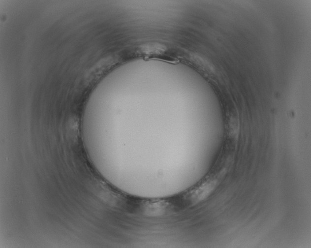 X0000077370321200611031918