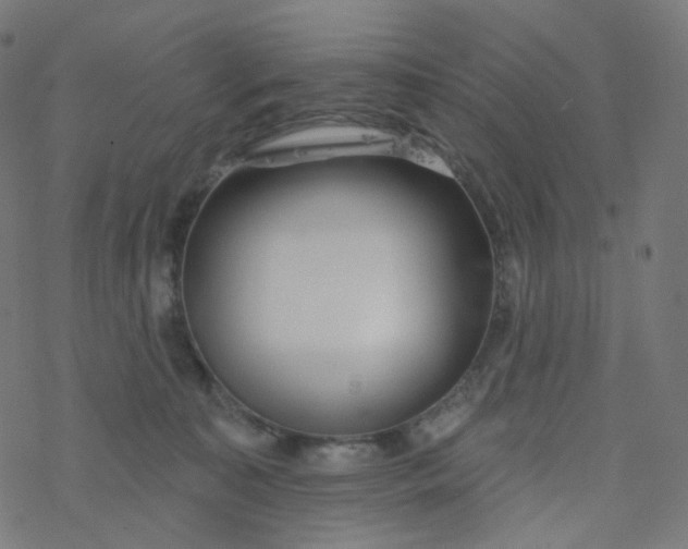 X0000077370323200611031918