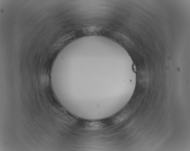 X0000077370324200611031918