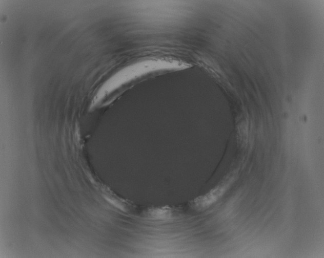 X0000077370325200611031918