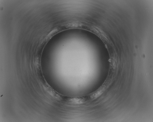 X0000077370326200611031918