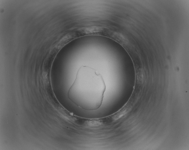 X0000077370327200611031918