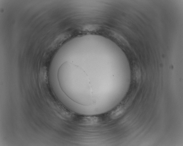 X0000077370328200611031917