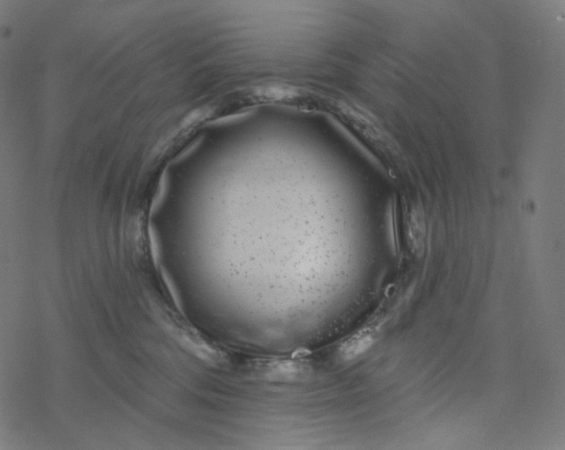 X0000077370330200611031917