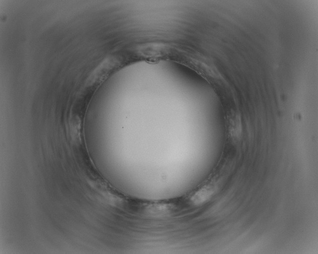 X0000077370332200611031917