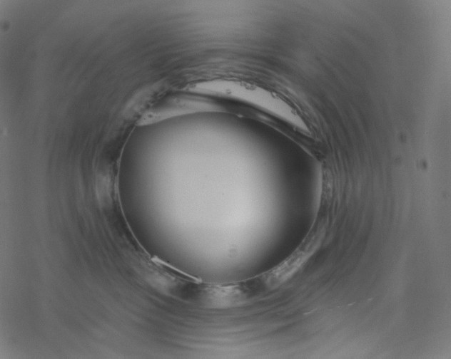 X0000077370333200611031917