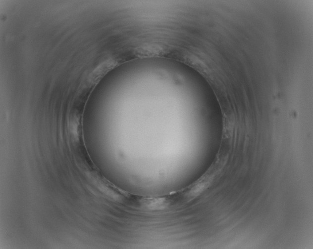 X0000077370334200611031917