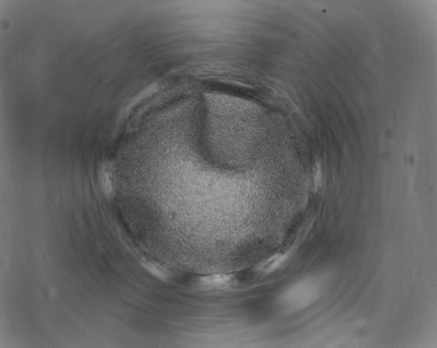 X0000077370335200611031917