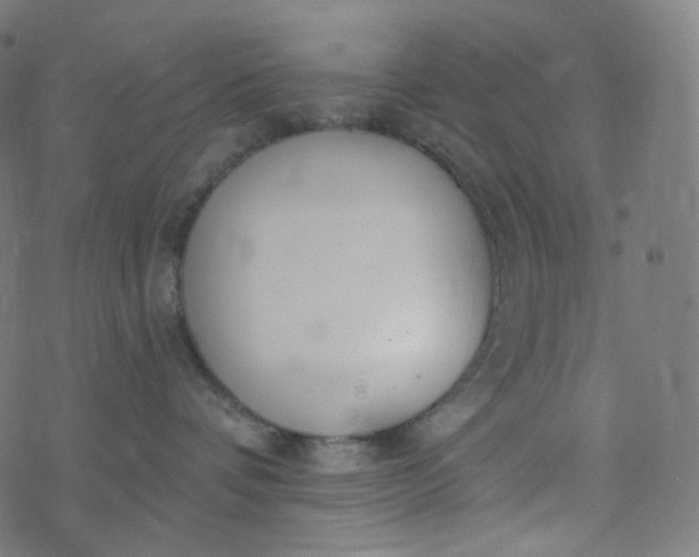 X0000077370336200611031917