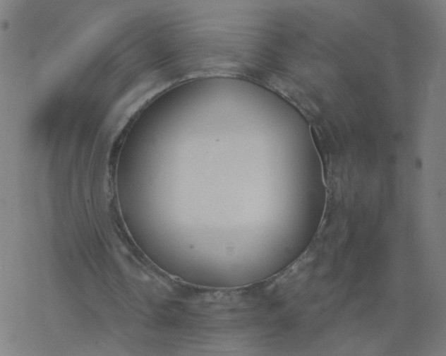 X0000077370338200611031917