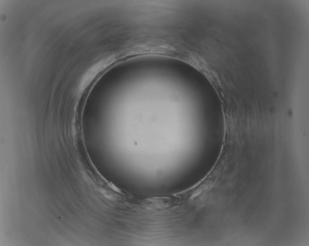 X0000077370340200611031917