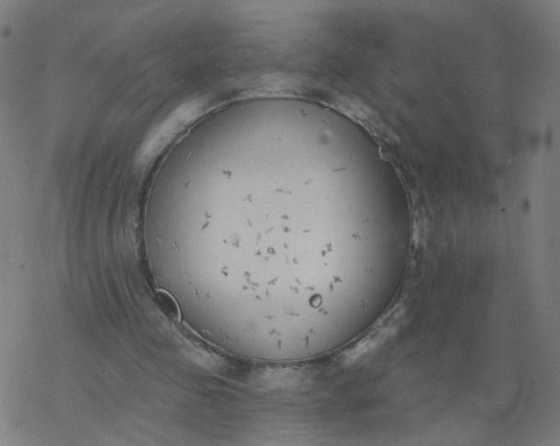 X0000077370341200611031917