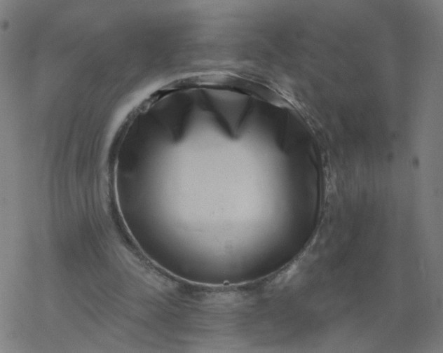 X0000077370342200611031917