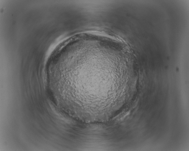 X0000077370343200611031917