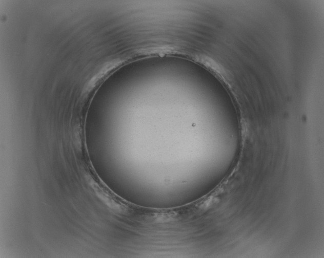 X0000077370345200611031917