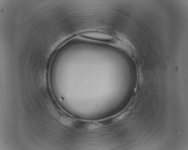 X0000077370346200611031917