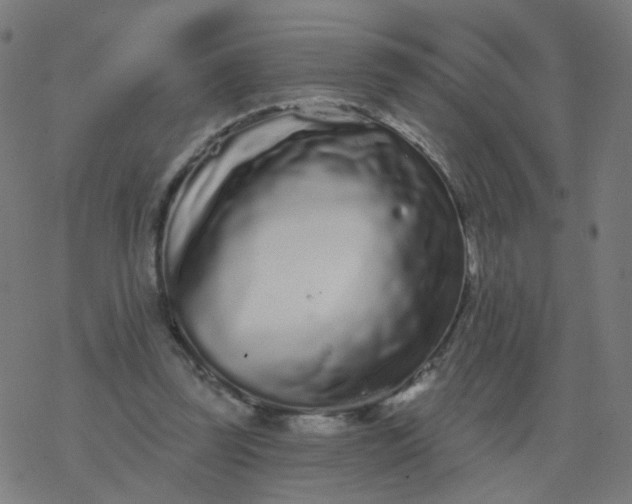 X0000077370347200611031917