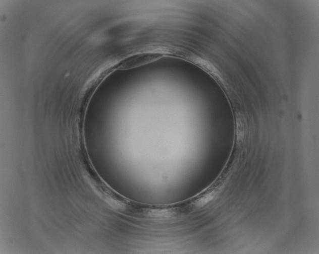 X0000077370349200611031917