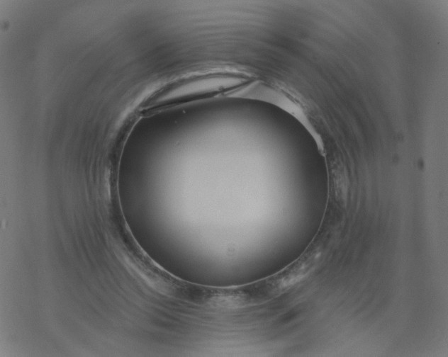 X0000077370350200611031917