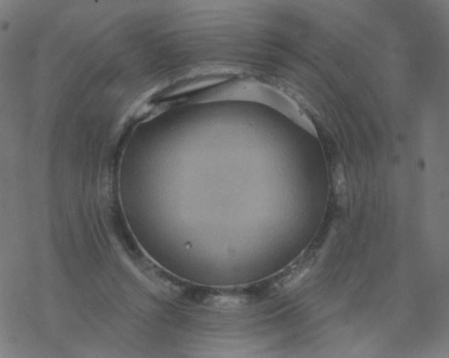 X0000077370352200611031917