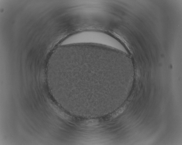 X0000077370353200611031917