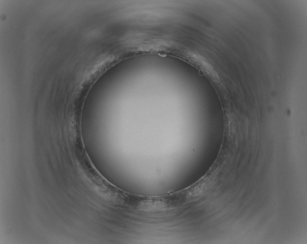 X0000077370354200611031917