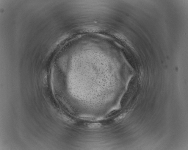 X0000077370355200611031917